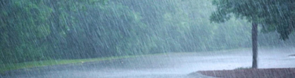 cropped-lluvia-3-e1581819535291.jpeg