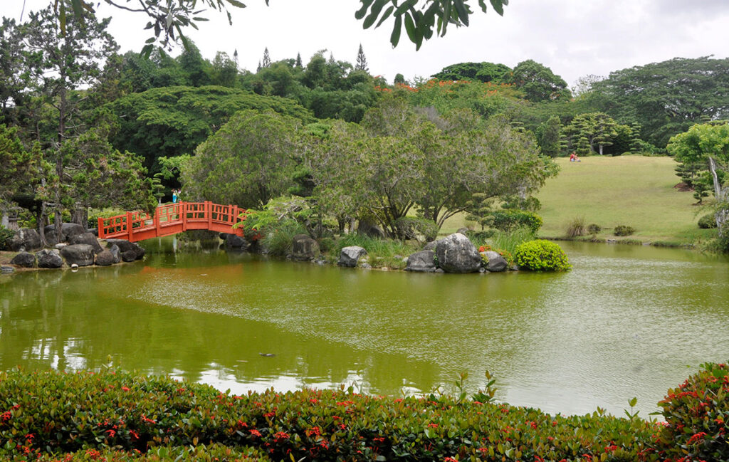 jardin-botanico-Jardin-Japones