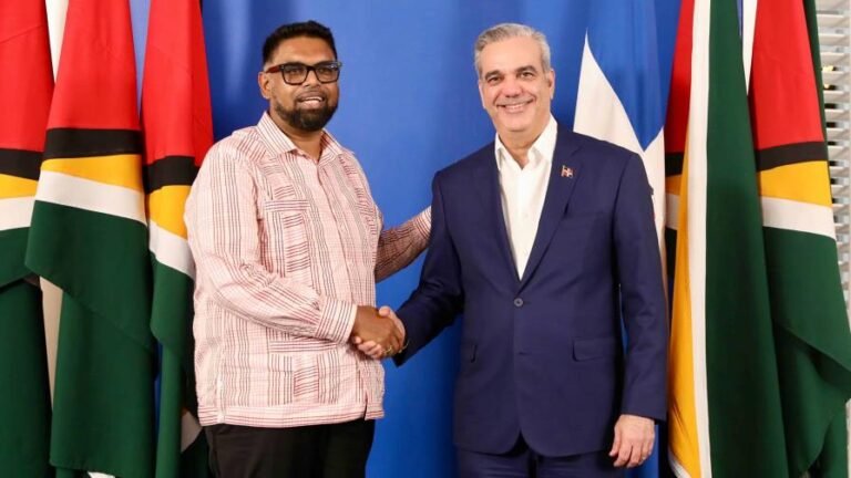 luis-abinader-se-reune-con-su-el-presidente-de-guyana-focus-0-0-896-504