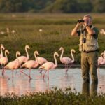 ebird_10_mayo_1