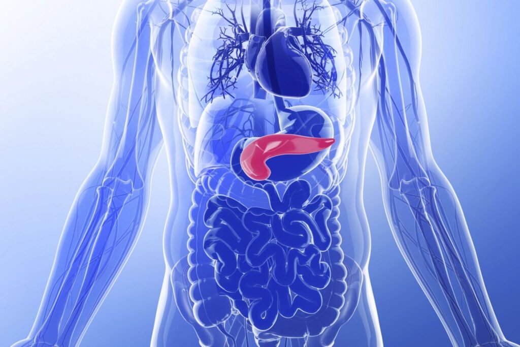 Prevenir el cáncer de páncreas es posible con hábitos saludables