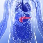 Prevenir el cáncer de páncreas es posible con hábitos saludables