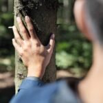 Semana de los bosques