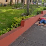 Indigente