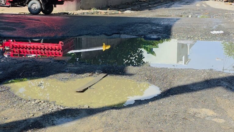 WhatsApp Image 2025-10-14 at 11.05.54 AM