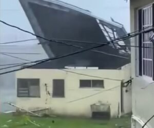 WhatsApp Image 2025-10-28 at 7.02.28 PM