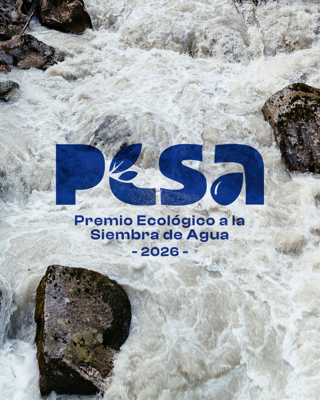 24 años Sur Futuro copia 14