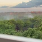 WhatsApp Image 2025-11-21 at 2.01.52 PM