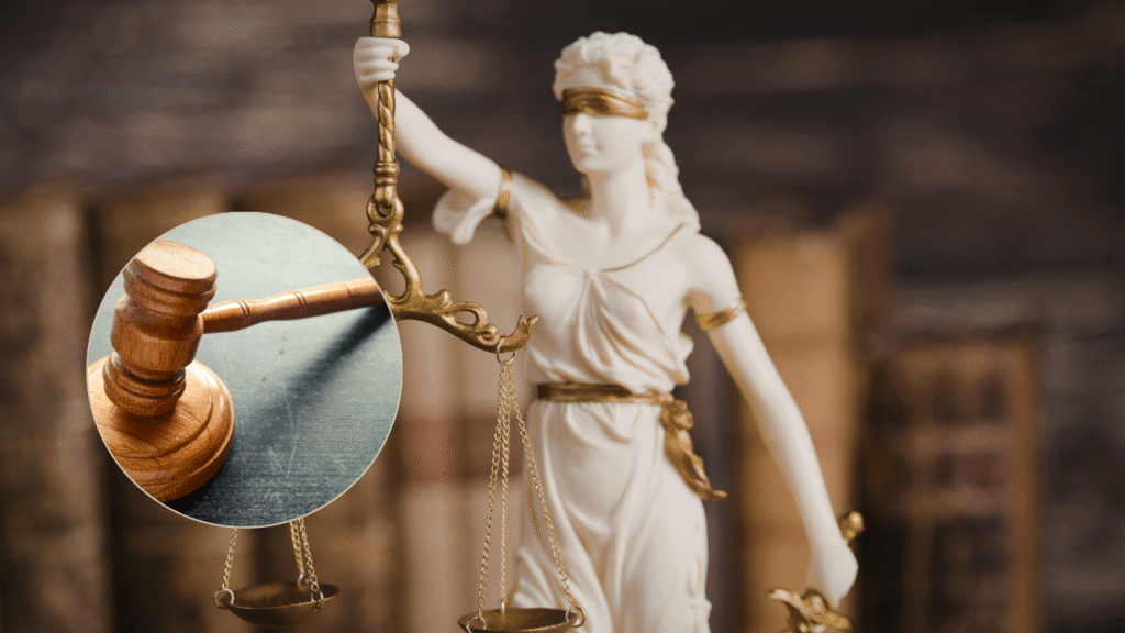 tc protege orientacion sexual