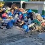 WhatsApp Image 2025-12-02 at 10.17.38 AM