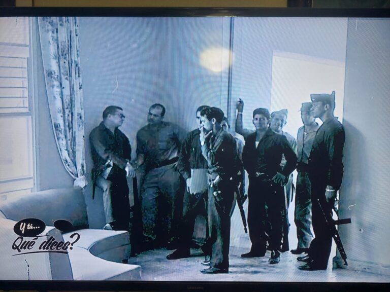 WhatsApp Image 2025-12-19 at 3.16.06 PM