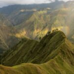 WhatsApp Image 2026-01-19 at 9.38.28 AM (1)