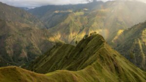 WhatsApp Image 2026-01-19 at 9.38.28 AM (1)