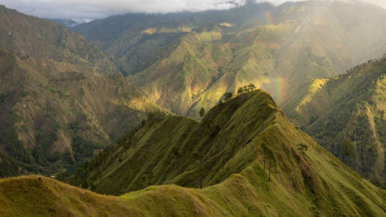 WhatsApp Image 2026-01-19 at 9.38.28 AM (1)