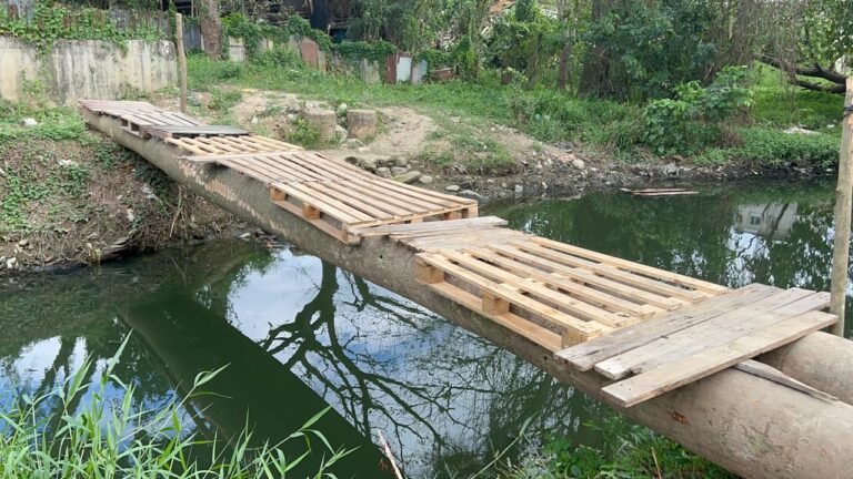 WhatsApp Image 2026-02-09 at 6.56.49 PM