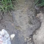 WhatsApp Image 2026-03-10 at 7.05.04 AM