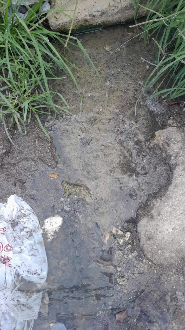 WhatsApp Image 2026-03-10 at 7.05.04 AM