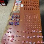 WhatsApp Image 2026-03-17 at 1.26.37 PM