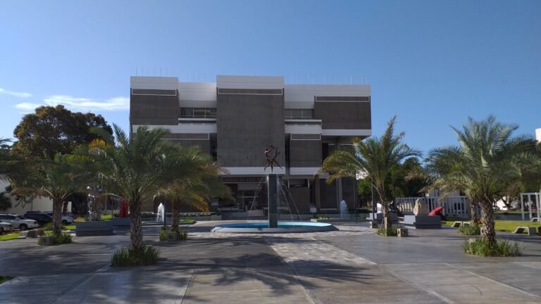 Museo Arte Moderno (MAM)