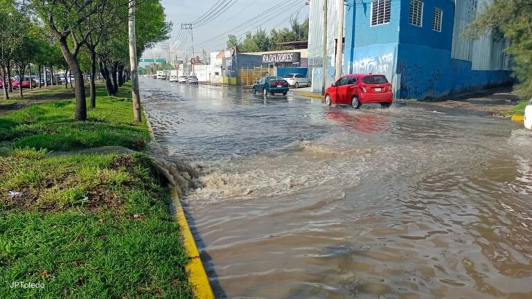 WhatsApp-Image-2023-07-13-at-1.54.19-PM