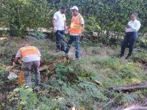 WhatsApp Image 2026-04-28 at 5.45.59 AM (1)