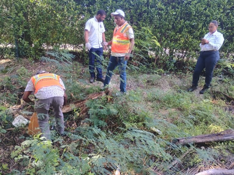 WhatsApp Image 2026-04-28 at 5.45.59 AM (1)