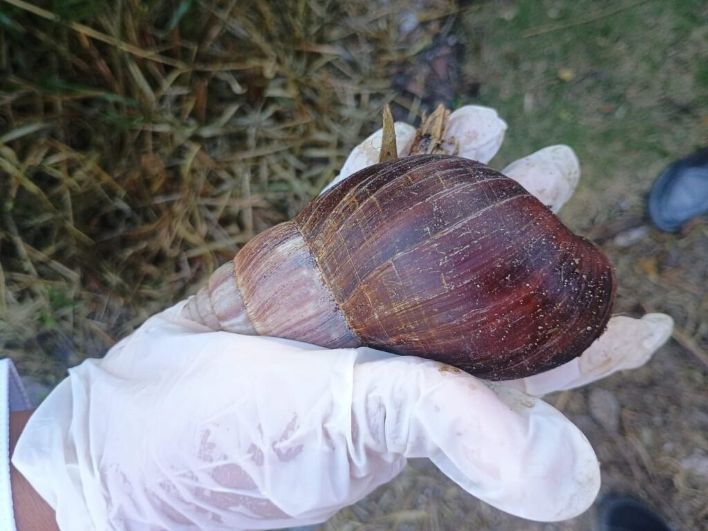 WhatsApp Image 2026-04-28 at 5.45.59 AM