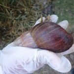 WhatsApp Image 2026-04-28 at 5.45.59 AM