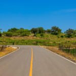 Carretera 1