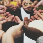 alimentos