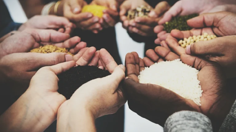 alimentos